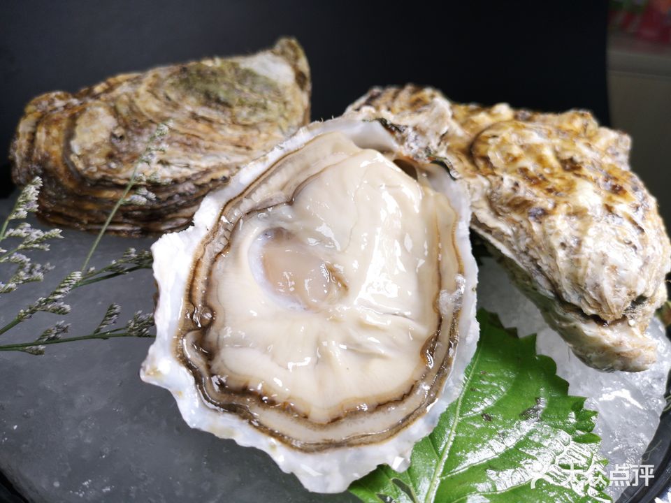 蚝酒荟中餐厅·融合琼菜·小火锅(海甸六西路店)