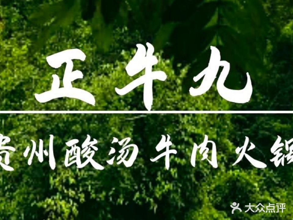 正牛九贵州酸汤牛肉火锅(合肥首店)