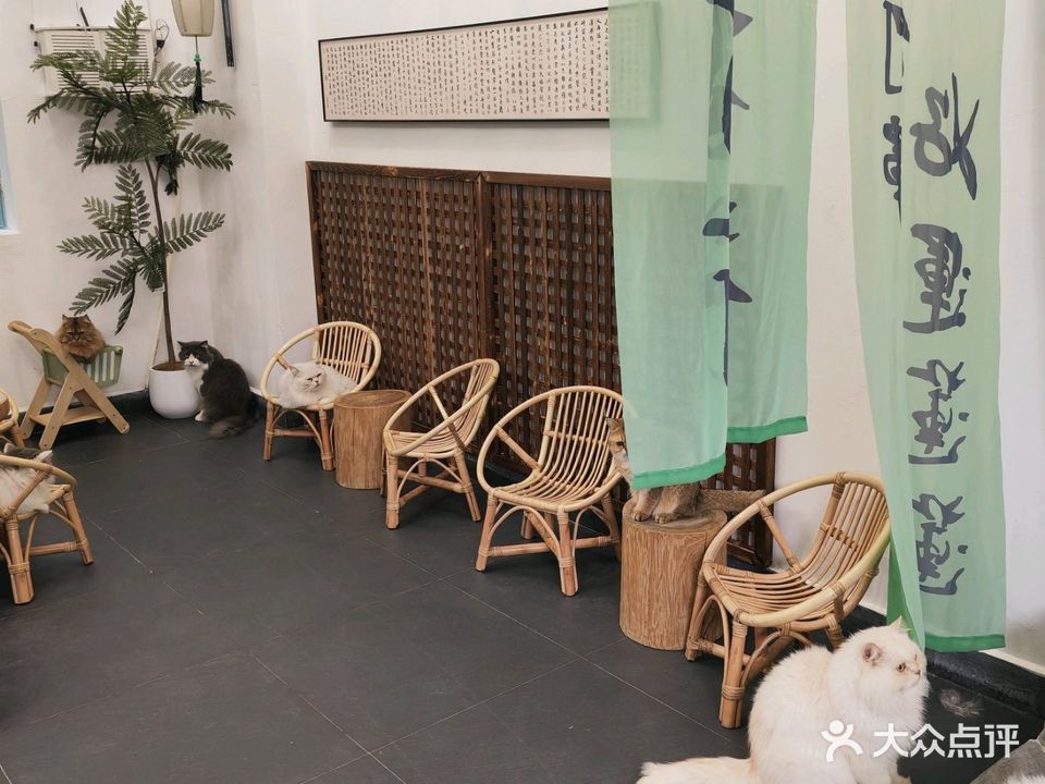 猫莱坞·小吃·甜品·萌猫生活馆