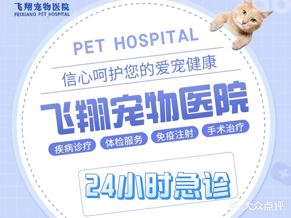 飞翔宠物医院·24小时