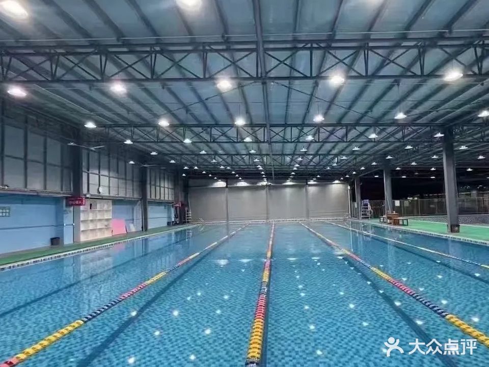 小海豚游泳馆(新达城店)