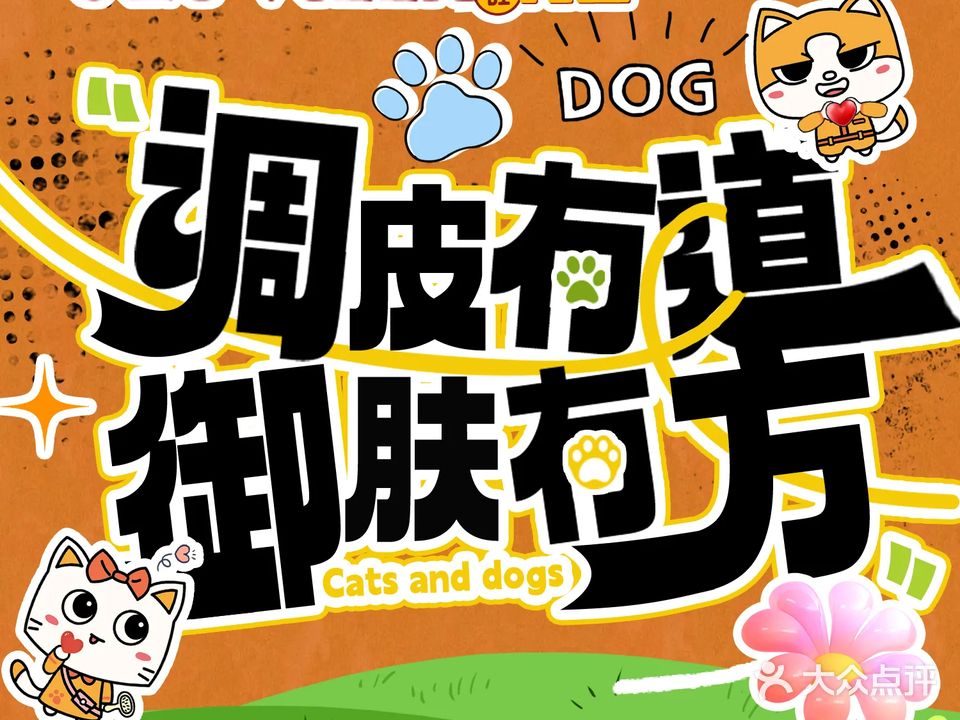 喵旺宠墅宠物店·萌宠领养草本洗护(海沧西雅图店)