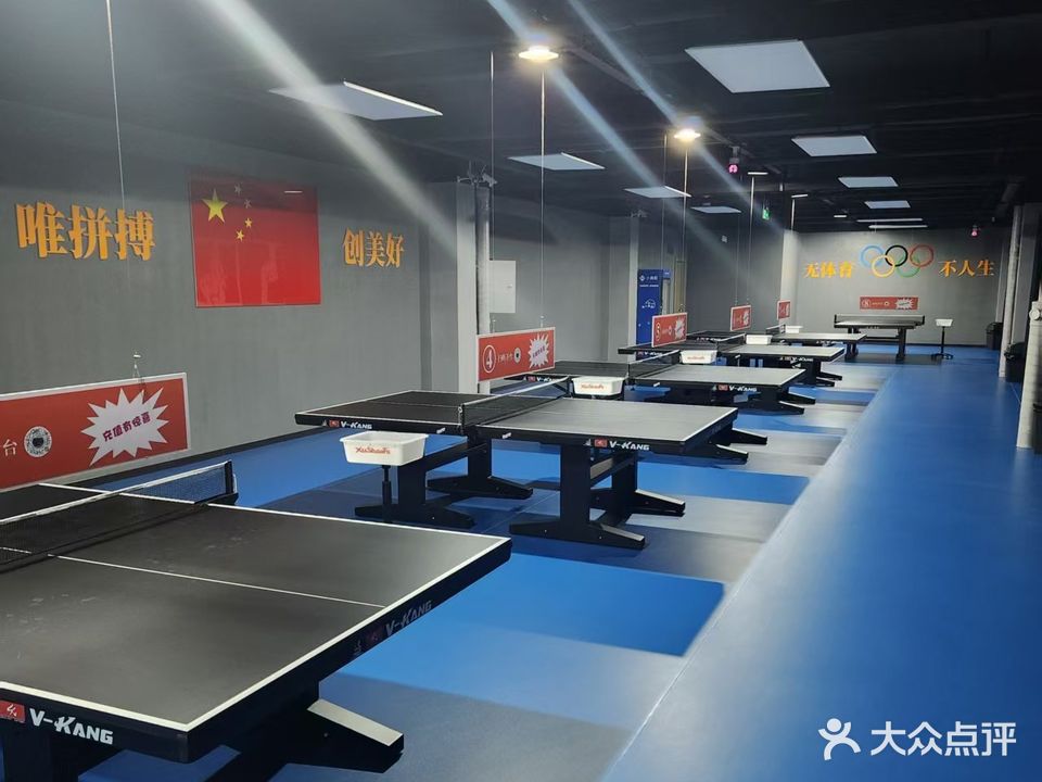 自由之鹰乒乓球