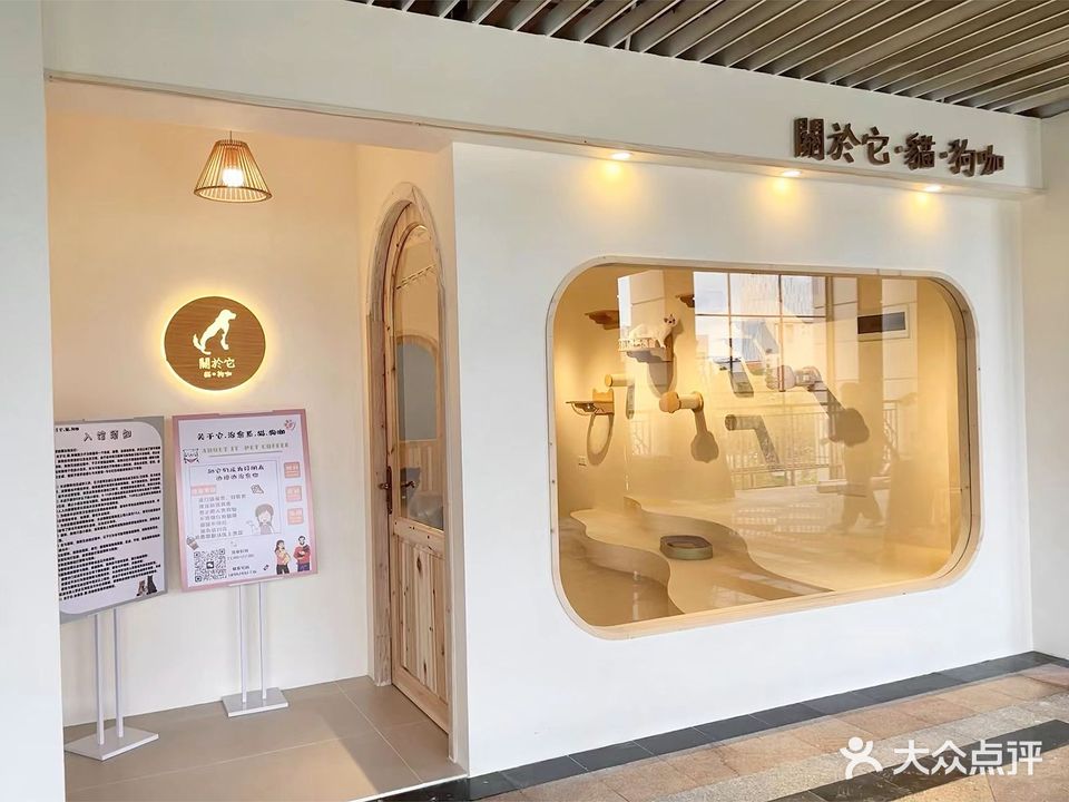 關於它·猫咖·狗咖·撸猫撸撸狗