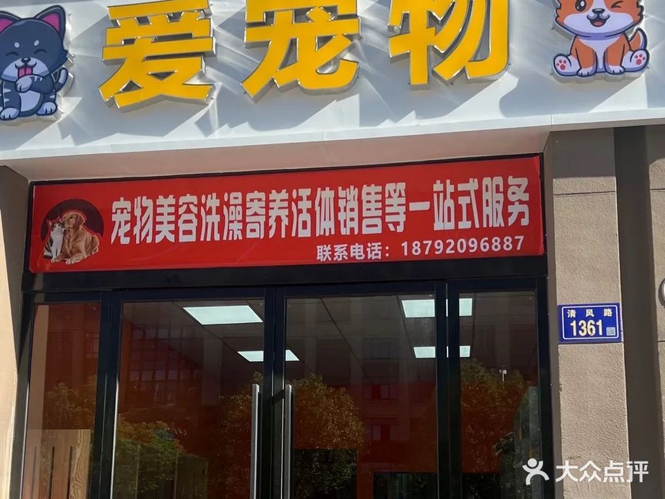 爱宠物