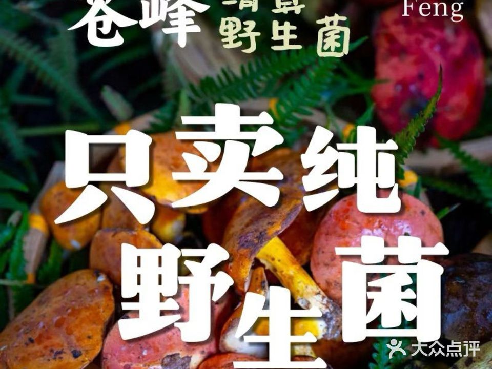 苍峰清真野生菌火锅(忠义市场店)
