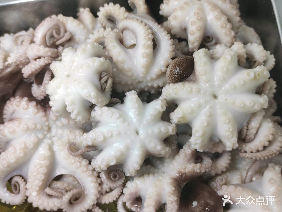 老爷爷安海土笋冻