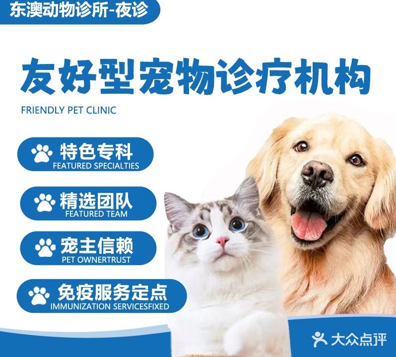 东澳动物诊所