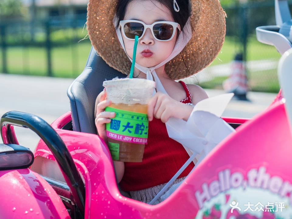 神州海豚租车(神州半岛店)