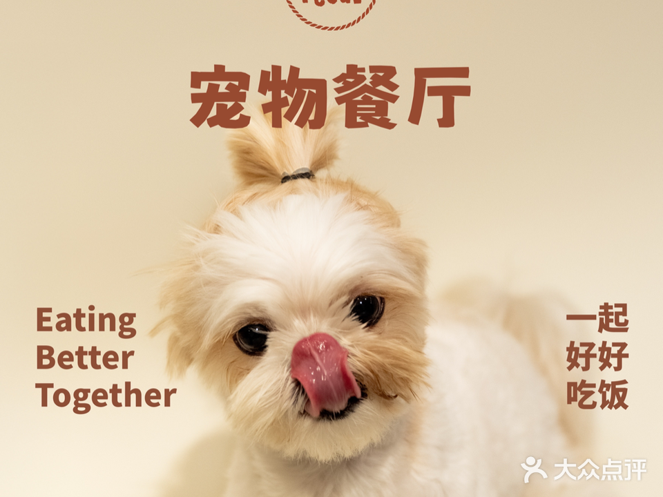 小园Reeal宠物餐厅