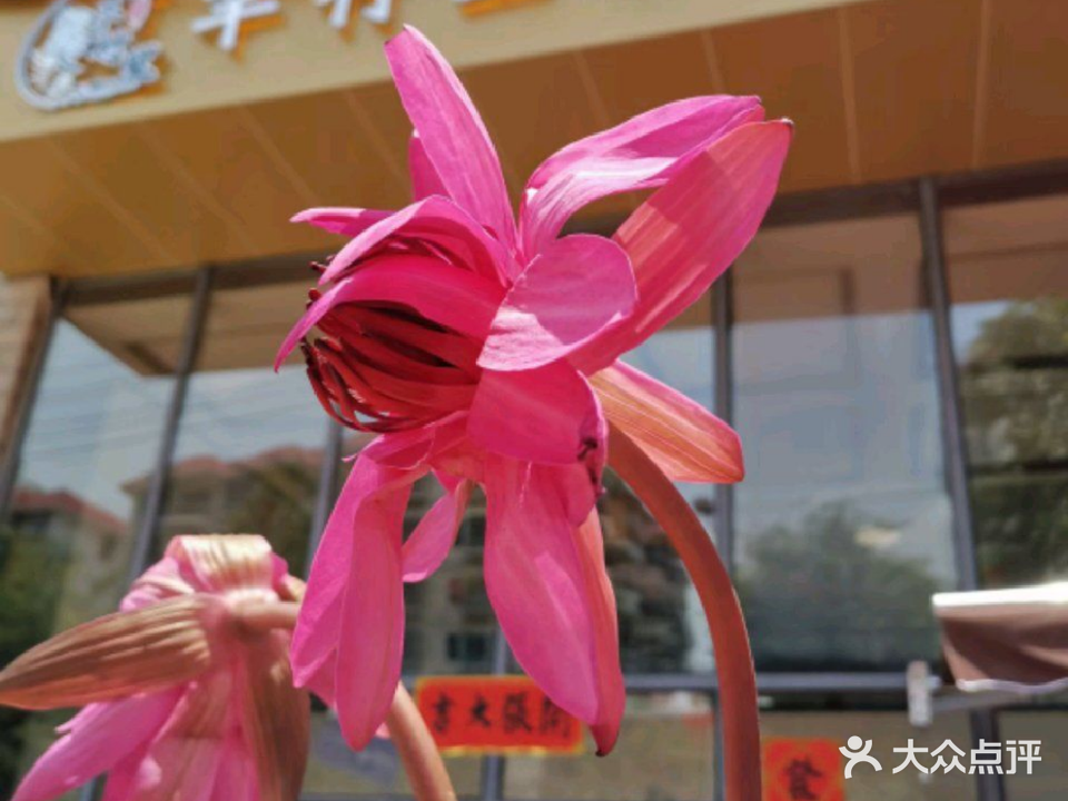 芊竹里私房菜(双大和园店)