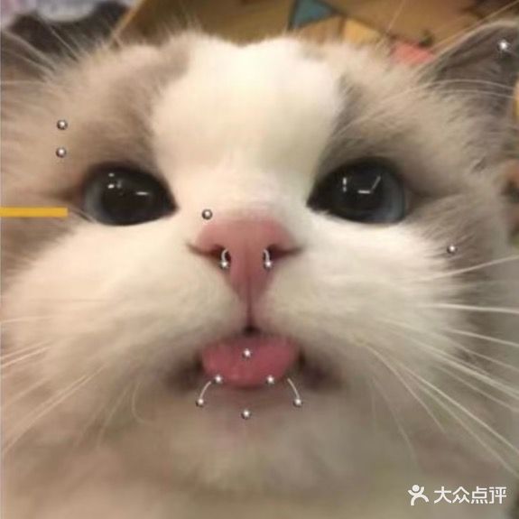 木马刺青THTATTOO