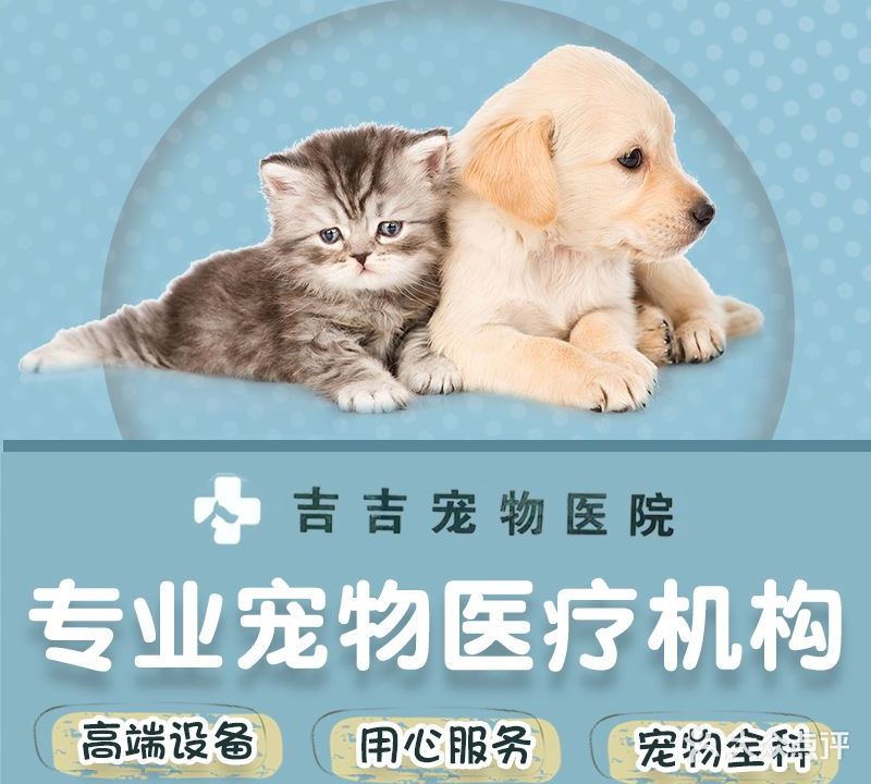 吉吉宠物医院·夜诊·急重症·综合性全科医院(中山市西区店)