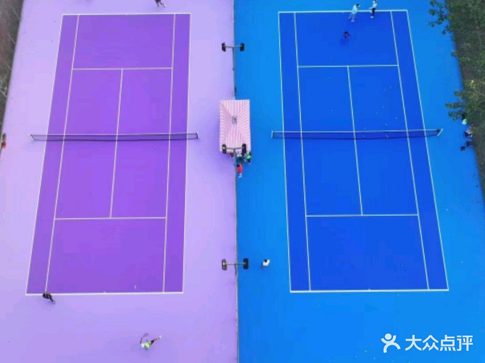 网飞网球俱乐部