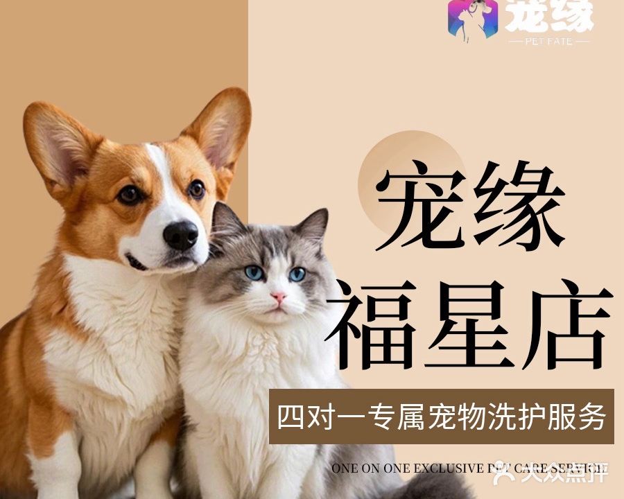 宠缘·福星店