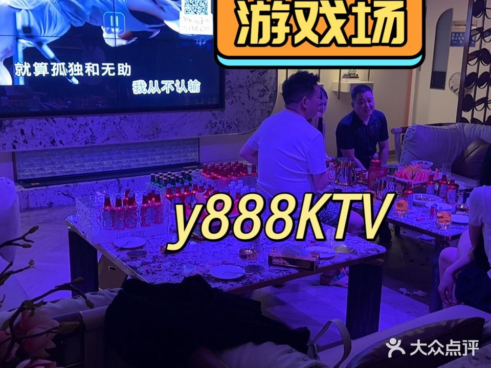 伴月湾商务会所KTV·夜总会