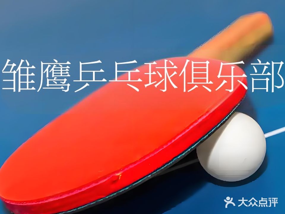 乒乓球俱乐部
