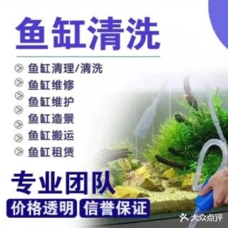 惠荣水族