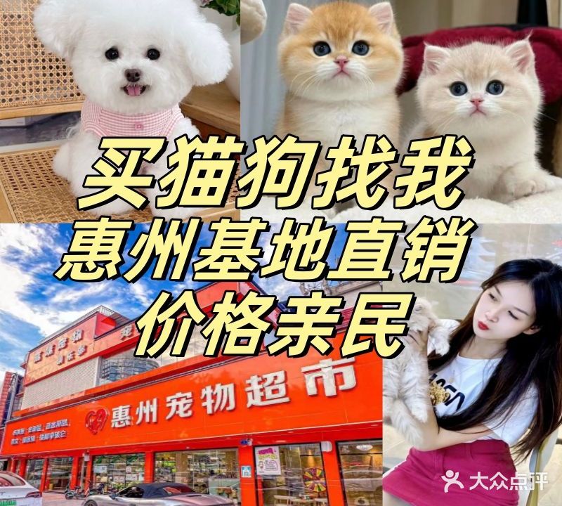 惠州宠物超市