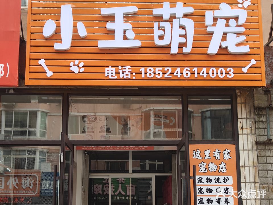 小玉萌宠