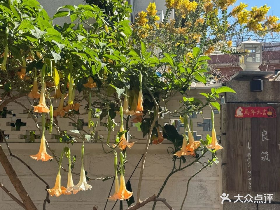 良筑LIANG HOUSE·花园餐厅·窑烤披萨·咖啡