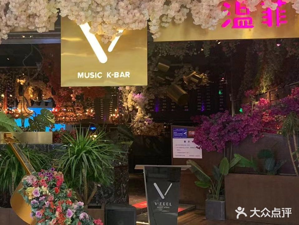 V-FEEL温菲聚会K馆(宁春城店)