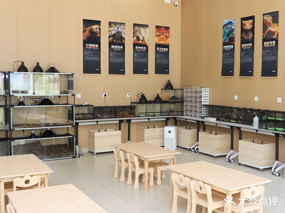 开心豆豆爬宠奇趣馆