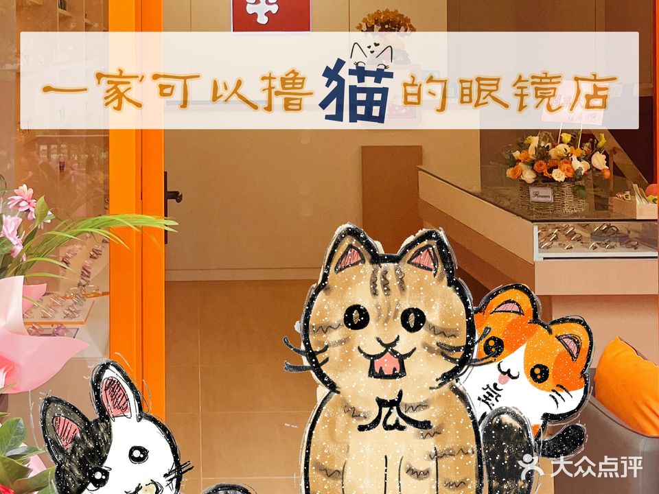 15+眼镜(蔡司官方授权店)