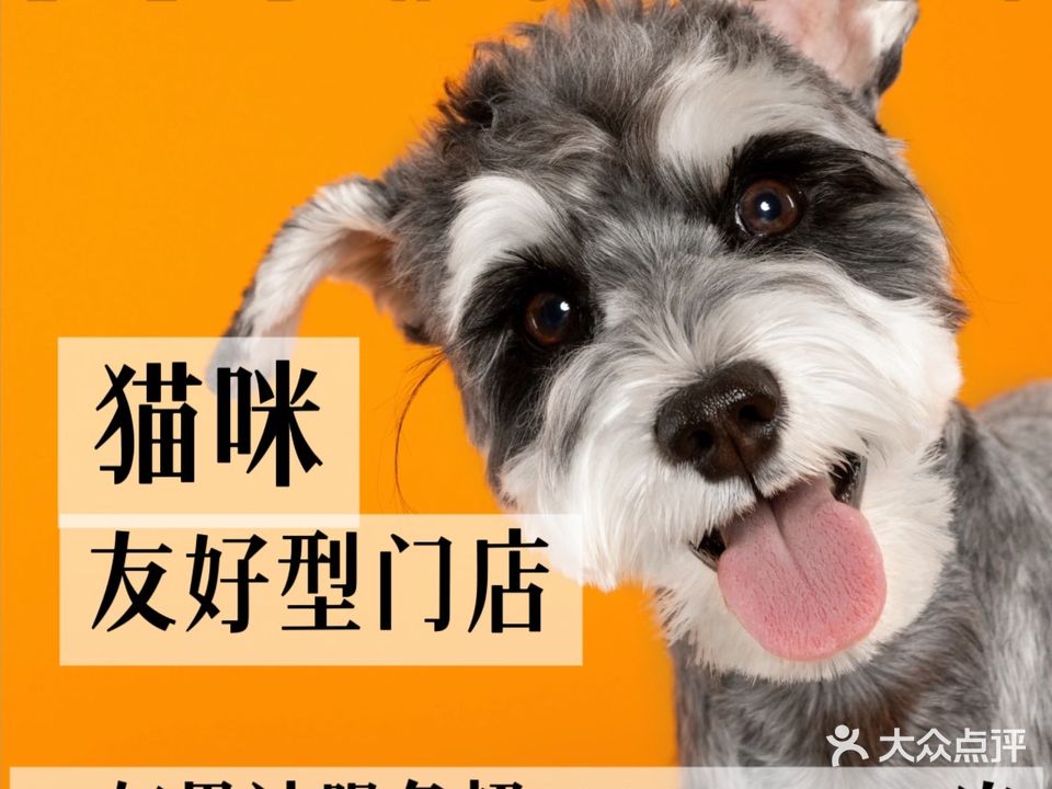 乐宝宠物·犬猫分离皮毛调理(同安店)