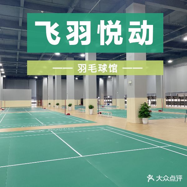 飞羽悦动羽毛球馆(县后馆)