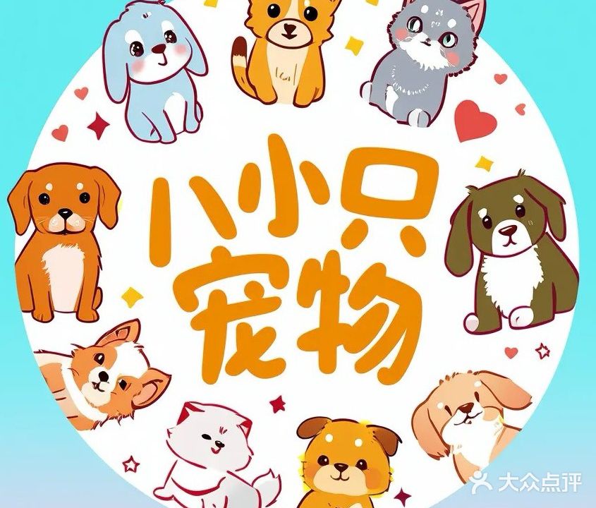 八小只宠物生活馆(尚阳康城店)