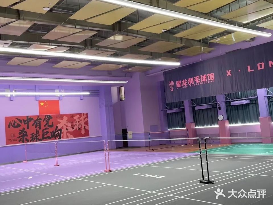 星龙羽毛球馆