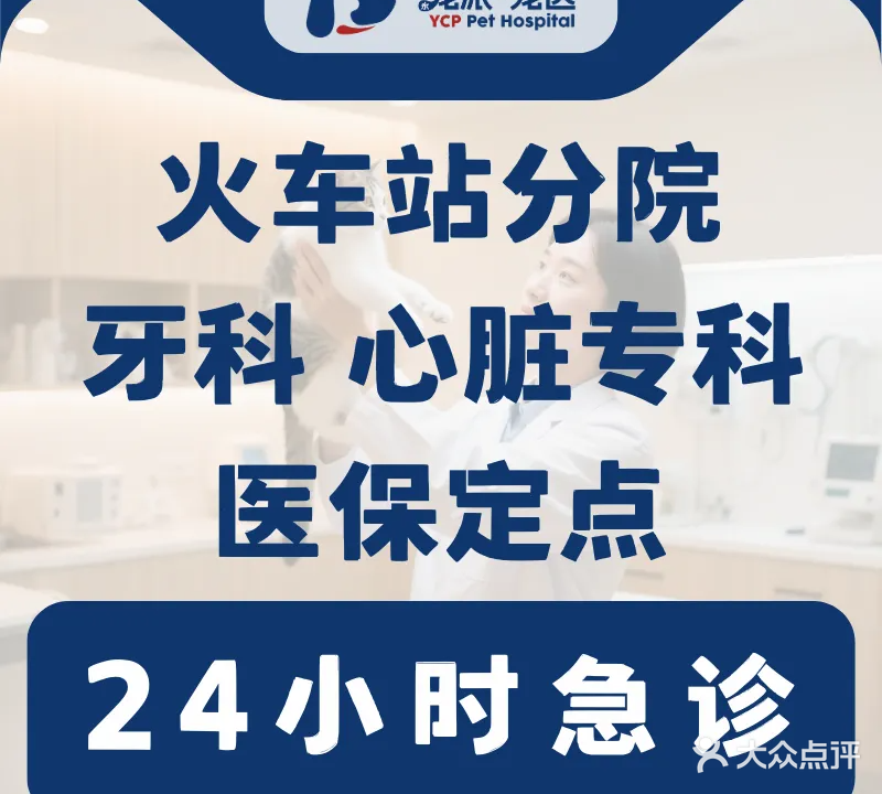 宠派·恩派24h宠物医院(湖滨南路店)