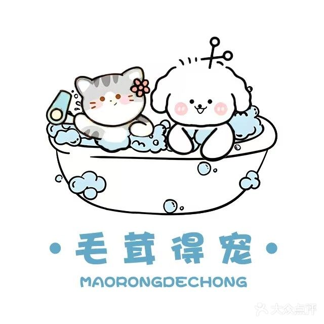 毛茸得宠宠物店