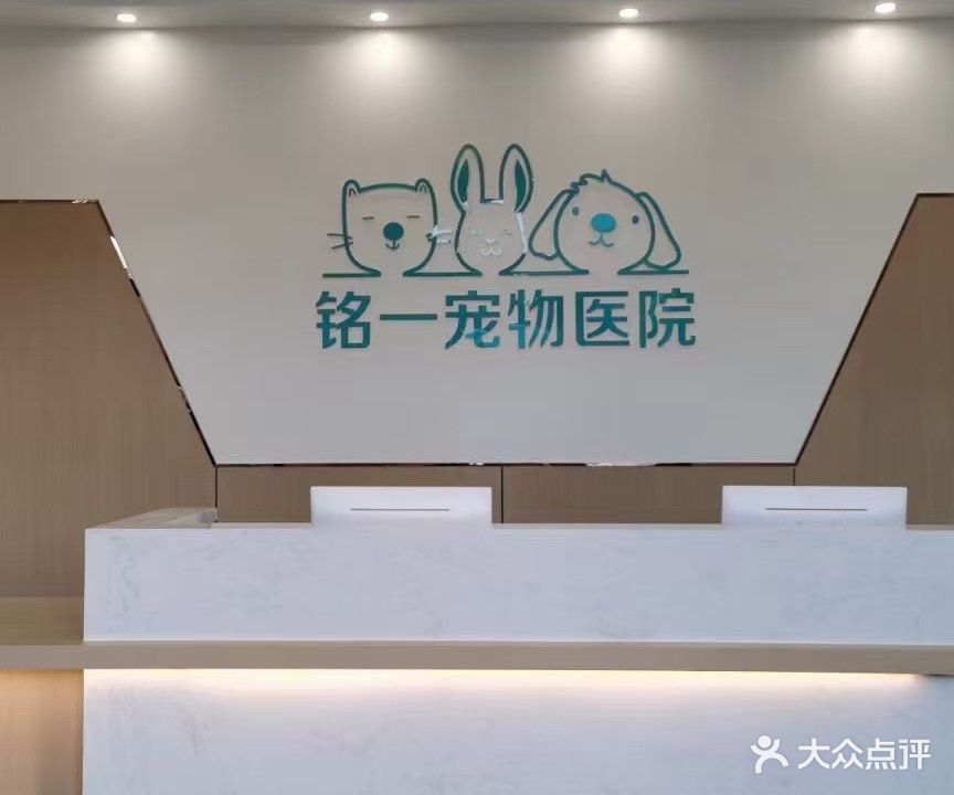 铭一宠物医院(瑞德广场店)