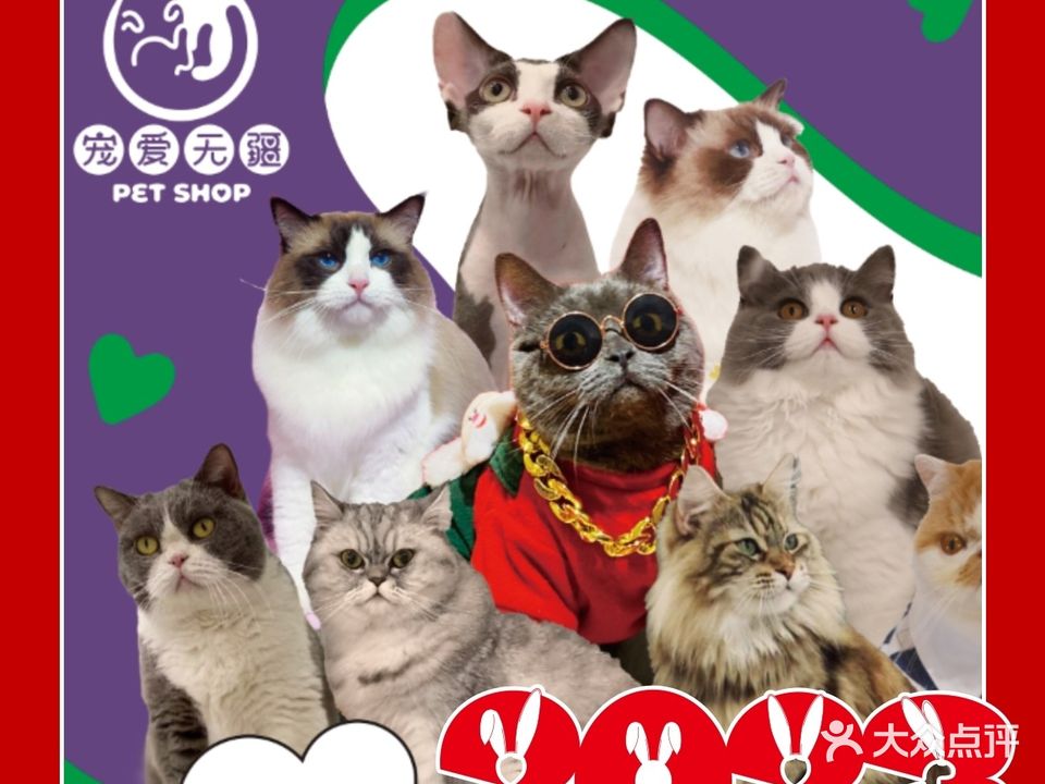 宠爱无疆petshop(五星乐和店)
