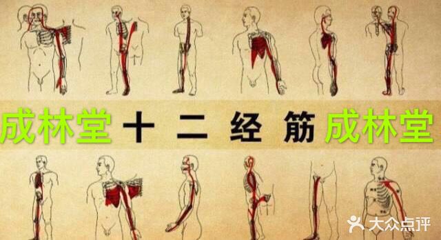 成林堂专业推拿(乐客城店)