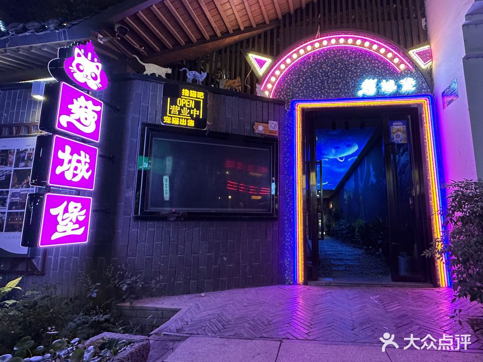 猫城堡·撸猫吧(淮河路步行街店)