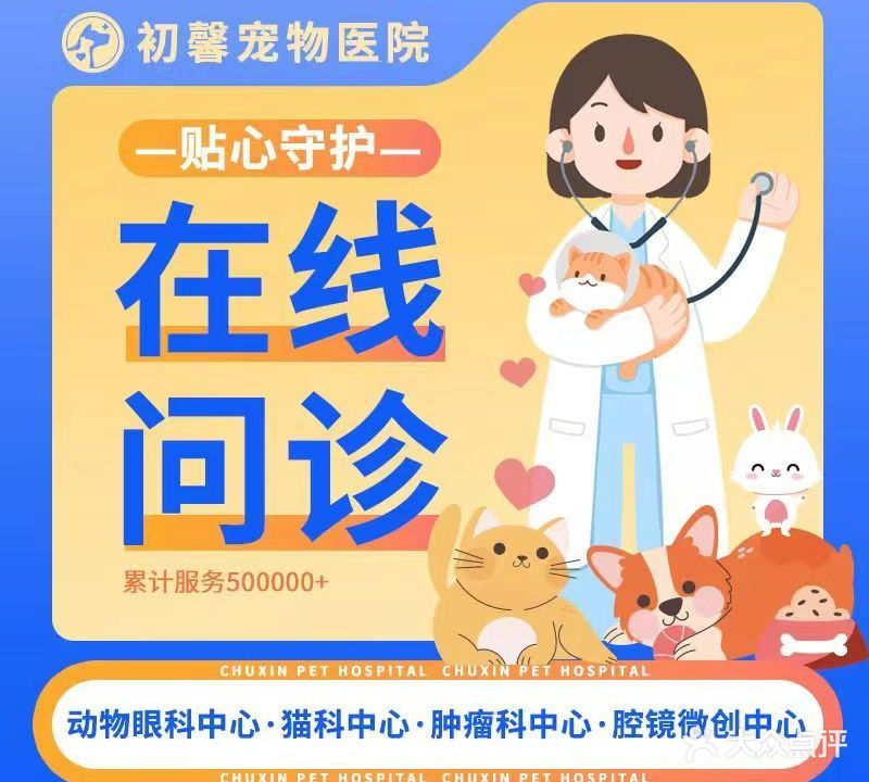 初馨宠物医院·动物眼科中心·猫友好型专科(市中店)