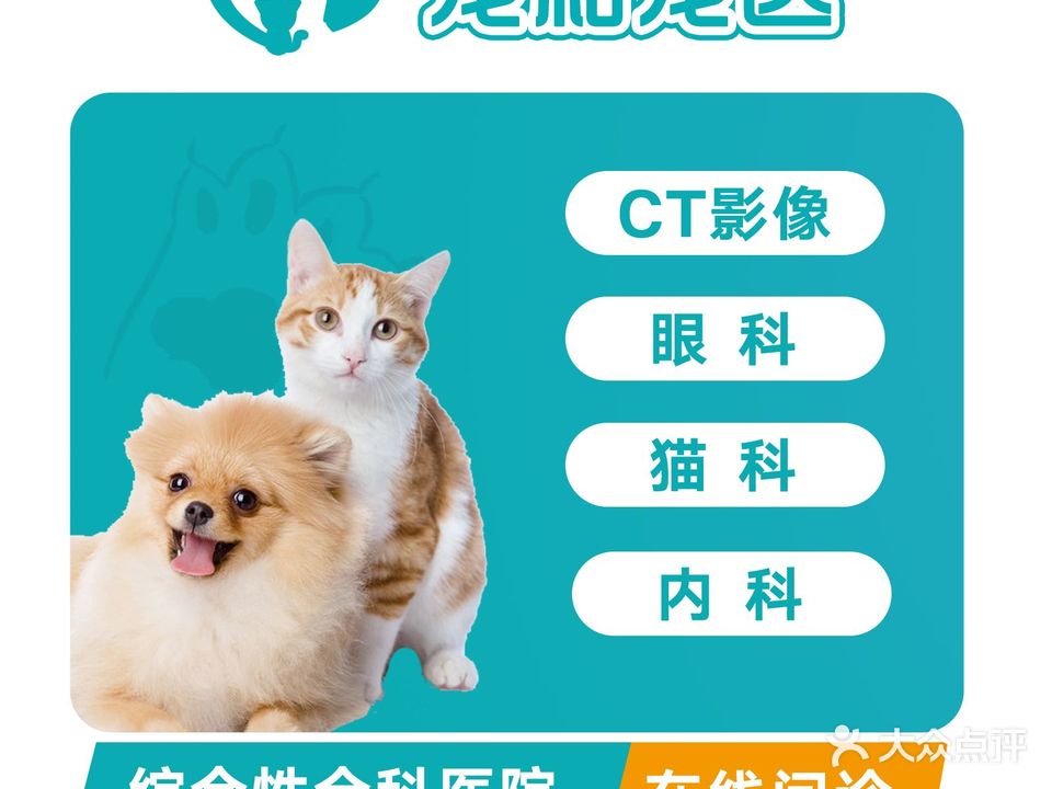 宠和·宠文欣宠物医院·犬猫全科(江头分院)