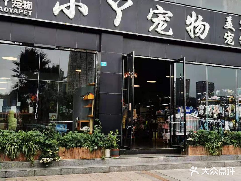 小丫宠物美容会所(帝景湾店)