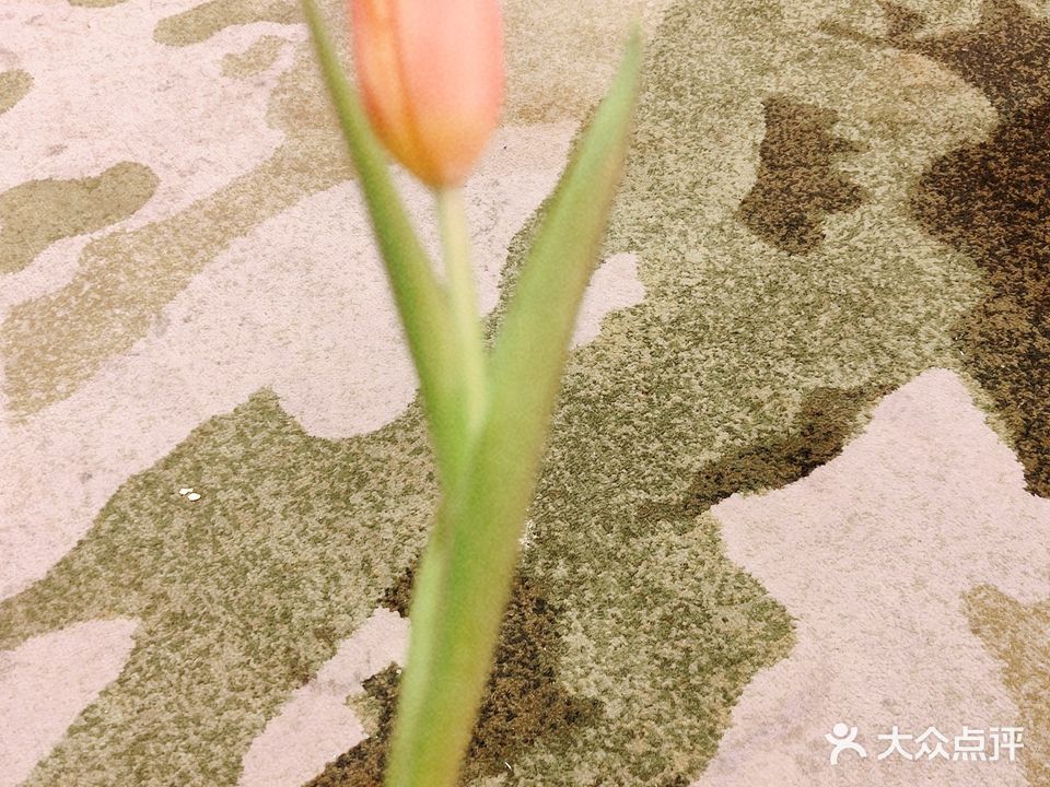 皇嘉大东港美容SPA会所(恒隆国际店)