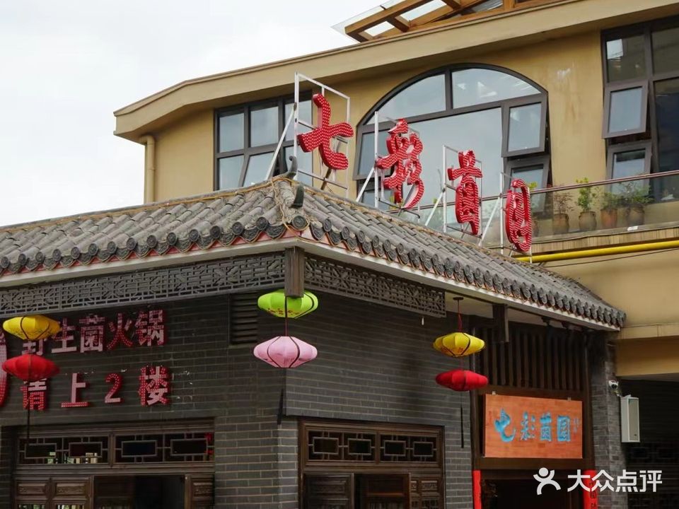 七彩菌园野生菌火锅(外滩店)