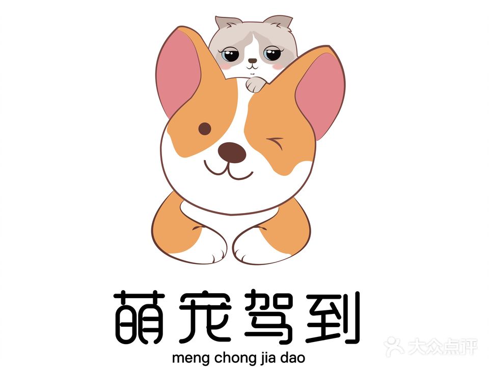 萌宠驾到