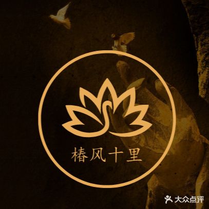 椿凤十里酒吧(鹏欣水游城尚街店)