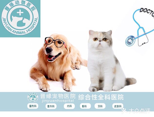 优缘宠物会所