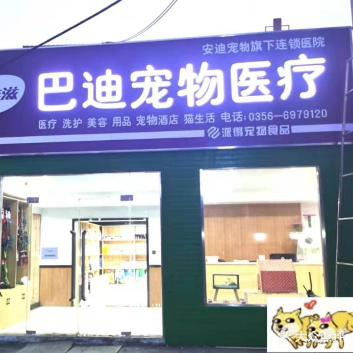 巴迪宠物连锁(矿务局店)