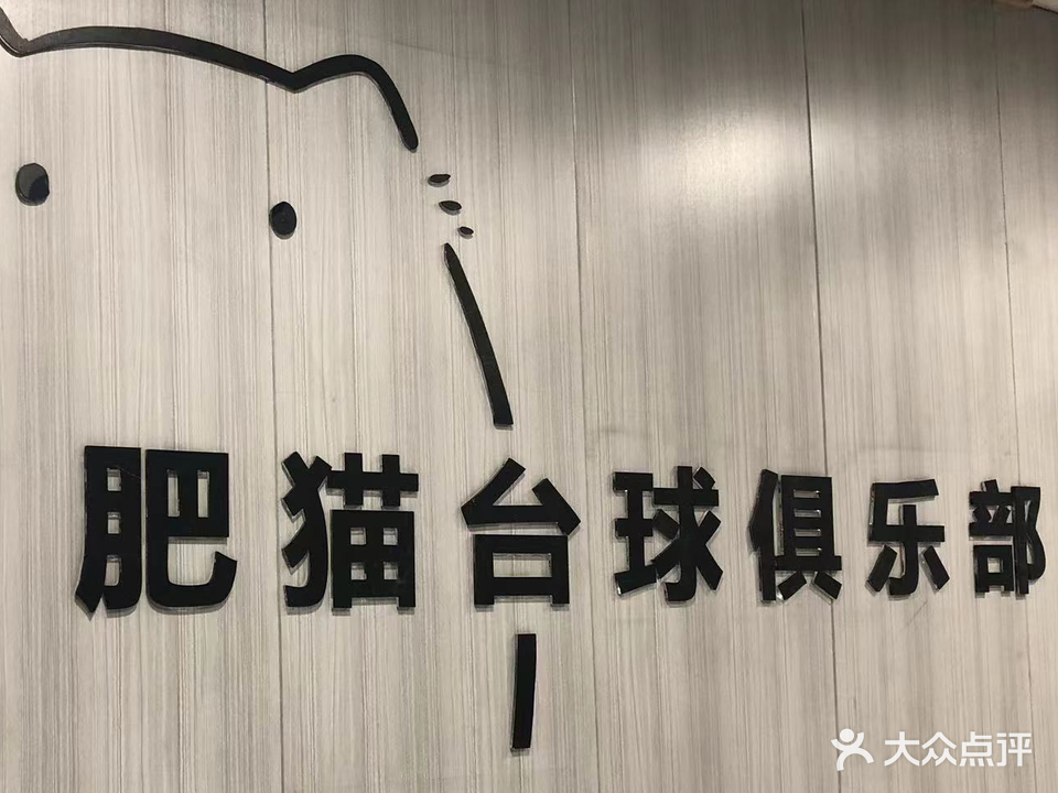 肥猫台球俱乐部(锦隆大厦店)