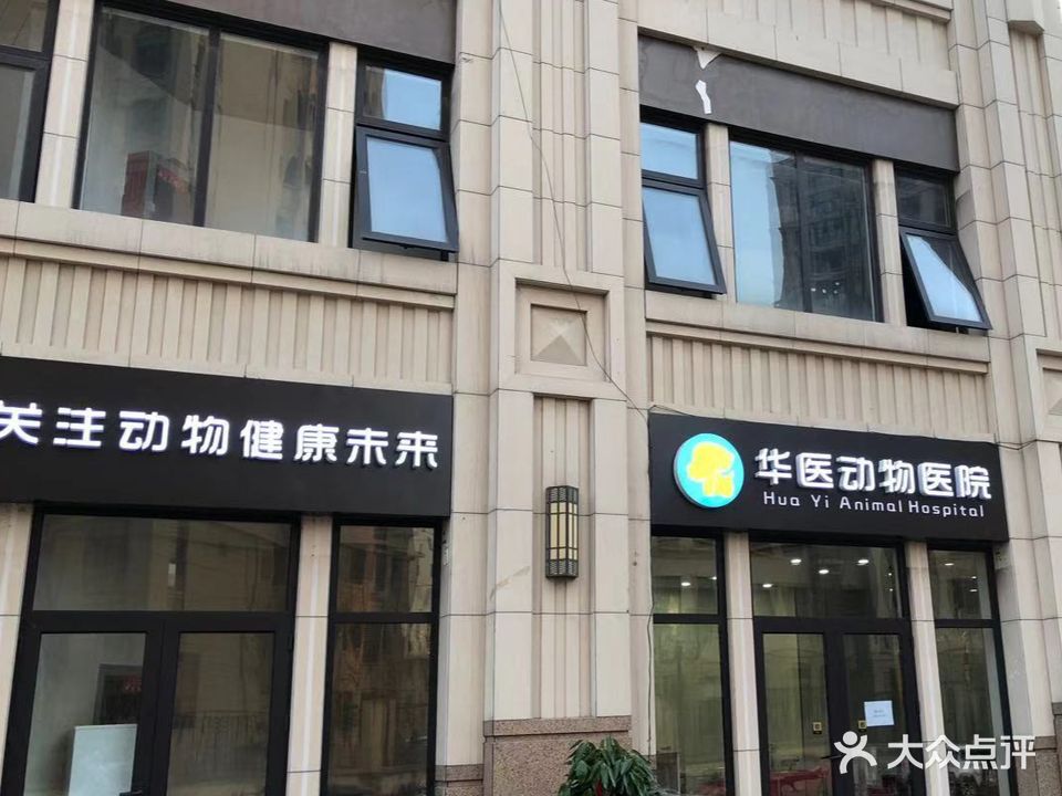 华医动物医院