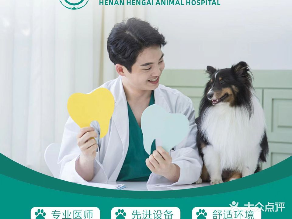 恒爱动物医院·犬猫全科·24h综合性诊疗中心(泉舜店)